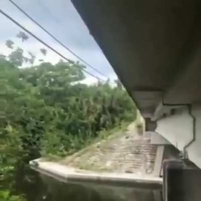 weeeeee