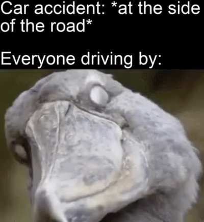 That&rsquo;s how traffic starts