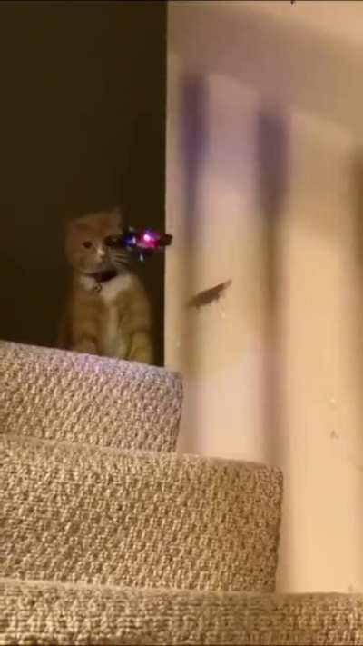 KACHOWW!!