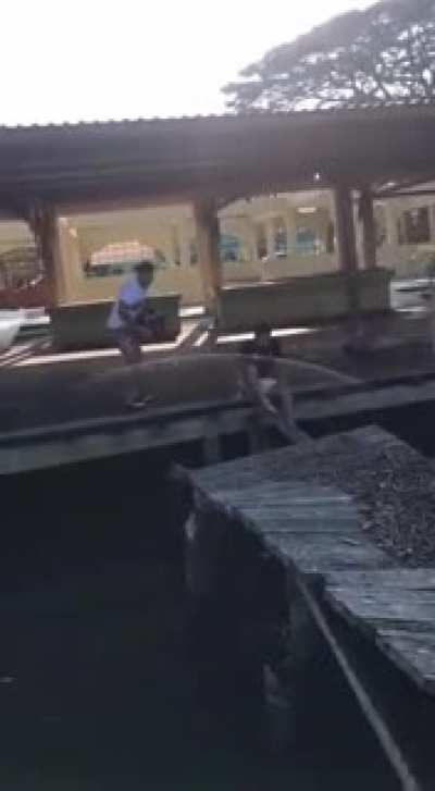 Jumping on a old wooden dock
