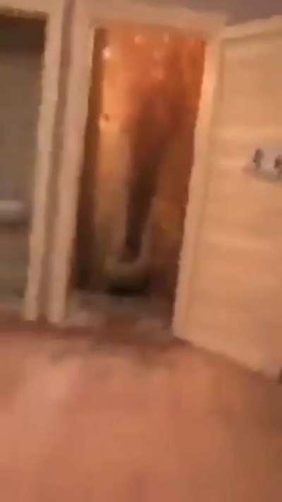 HAHA TOILET GO BOOM