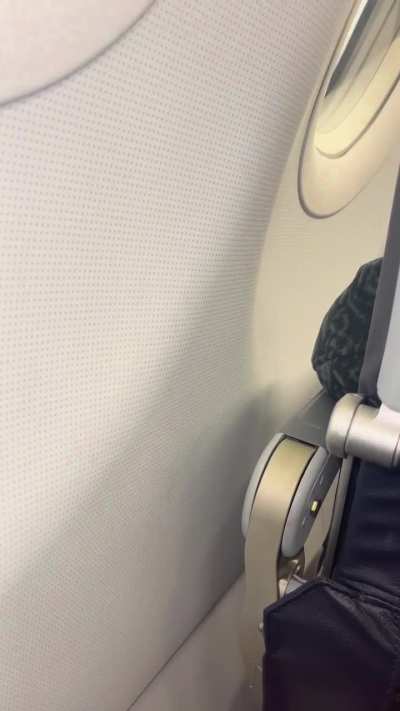 My mom's flight got in 3 hours late because of this joyful being