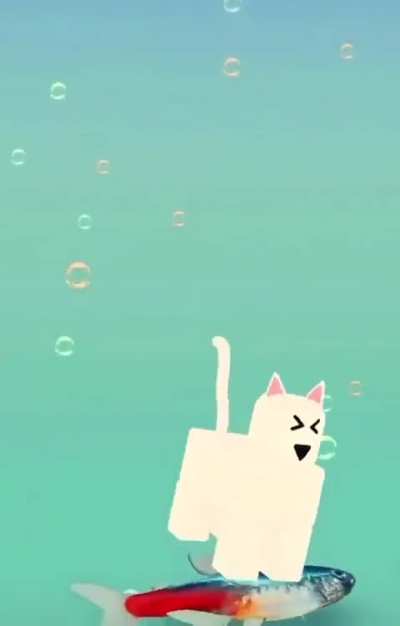 🐱🐟