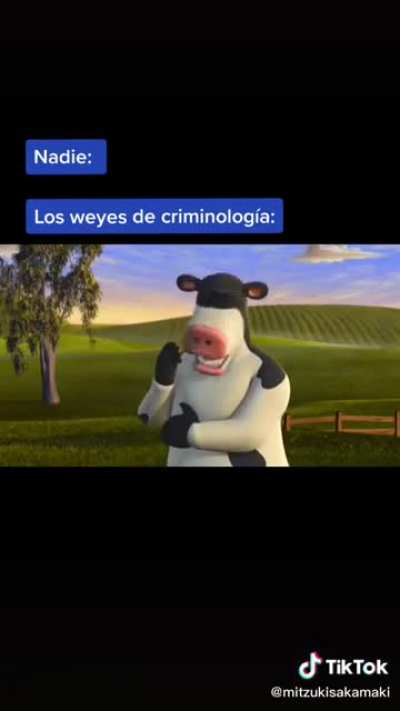 Si sos