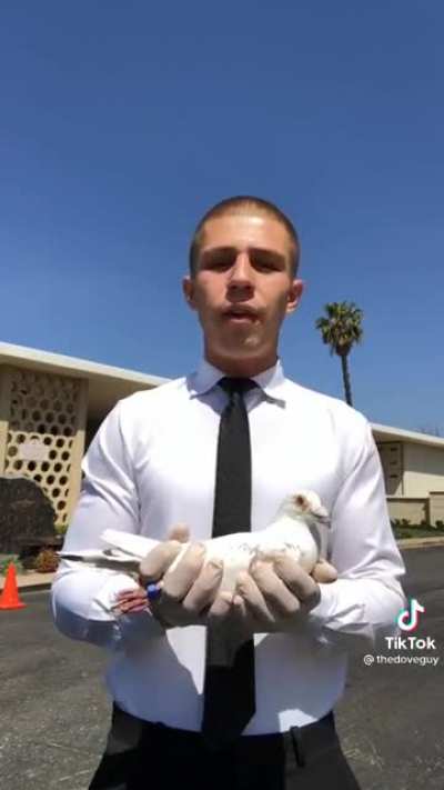 He&rsquo;s a professional