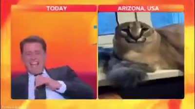 Aussie news kinda wildin doe 😳😳