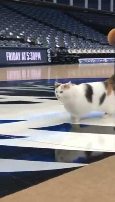 Oh lawd, he comin'