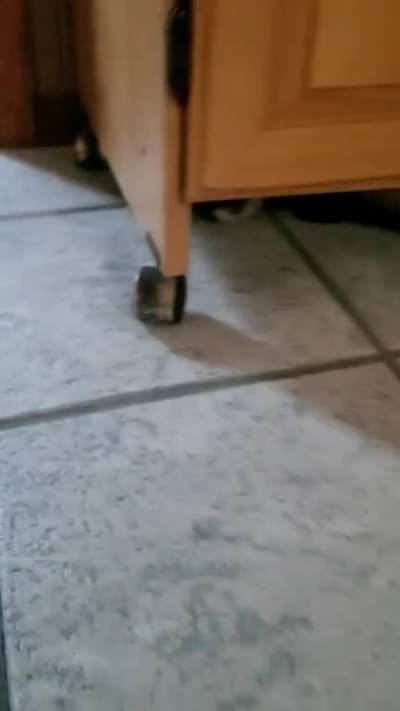 Run! Run! Run! Plop.
