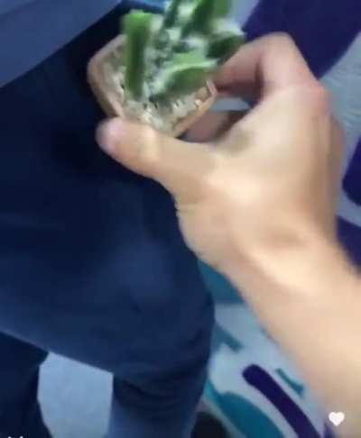 AAA-