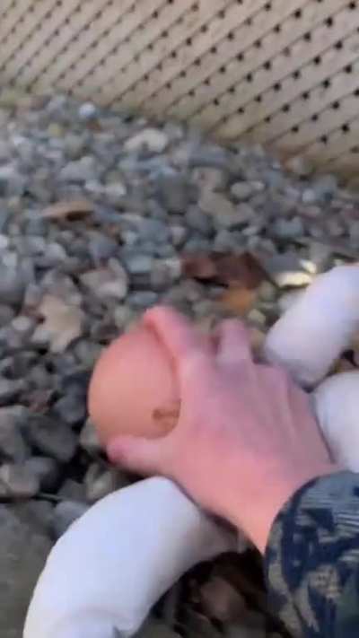 How to deal with dolls