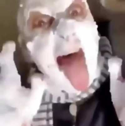 Gru do be Halloween