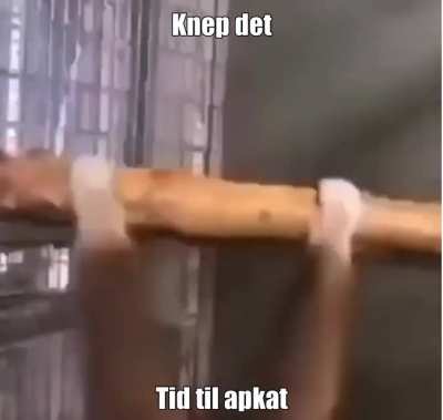 Tid til at beg&aring; apkat