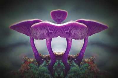 I made some psychedelic mushroom art [OC]