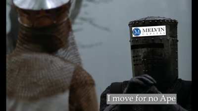 "Tis but a scratch!" -Melvin Capital