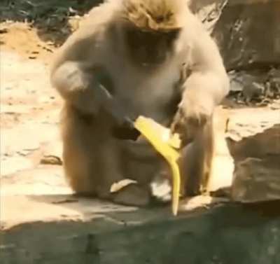 To eat a banana