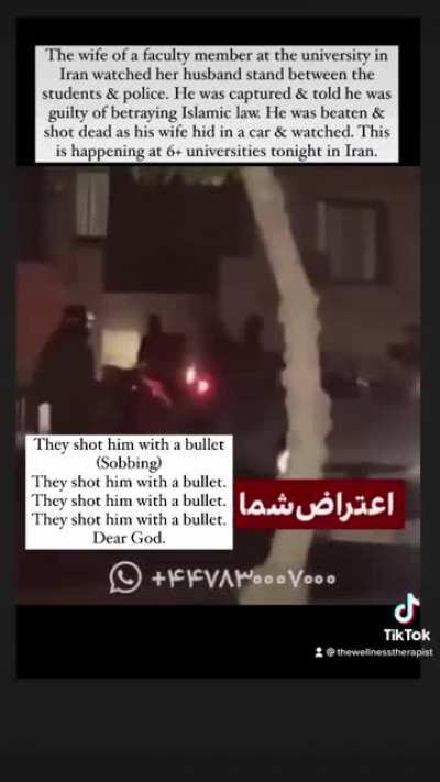 Faculty members &amp;amp; students being killed at universities in Iran right now