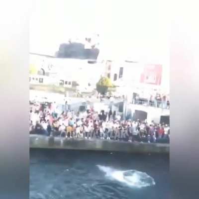 Sabah beni ırkı&ccedil;ısın bla bla diyerek kınayan arkadaş, ırk&ccedil;ılığin k&ouml;t&uuml; bişey olduğunu savunan arkadaş, g&uuml;nl&uuml;k cinnet dozunu alamamış arkadaşlar i&ccedil;in dev hizmet (hassassanız izlemeyin cinnet getirebilirsiniz)