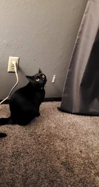 Startled by absolutely nothing.
