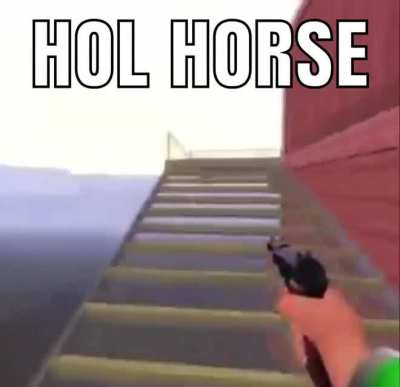 Gun
