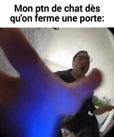Mi-chat mi-GROS-CASSE-BURNE et re mi-chat derri&egrave;re (ou jsp j'regarde pas le jeu des tr&ocirc;nes)