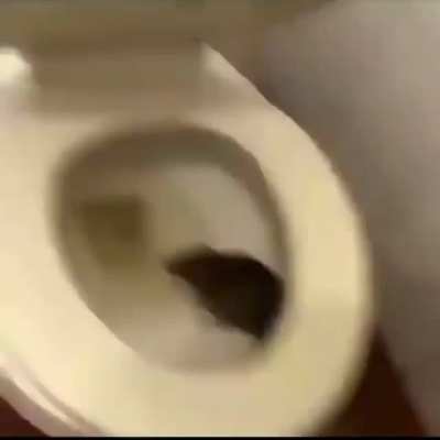 hmmm i wonder where this dirty ass video was taken? 🤔