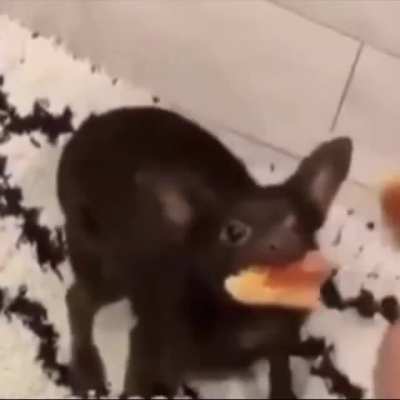 To take pizza