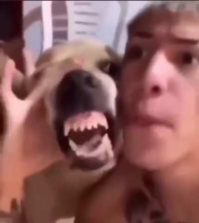 beatbox