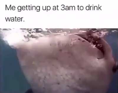 Happens a lot