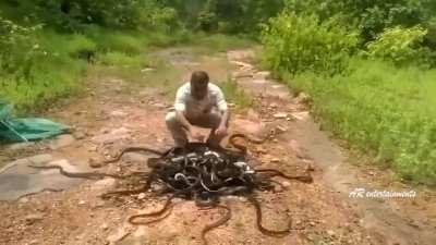 The way this guy releases his snakes