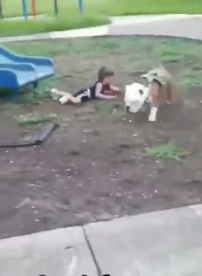 Man's best friend, not the kid's