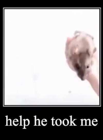 hel