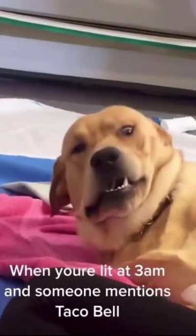 Me_irl