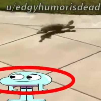 Funny dancing kangabunny corpse 🥺🥺🥺🥺 انتحار الكانغو الكبير eyeblech 240p frog kangaroo bunny sex tape