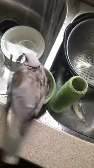 Baninho