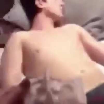 CUIDADO:o v&iacute;deo a seguir pode causar pertuba&ccedil;&atilde;o e dor em vc, assisti pela sua conta e risco...VC FOI AVISADO