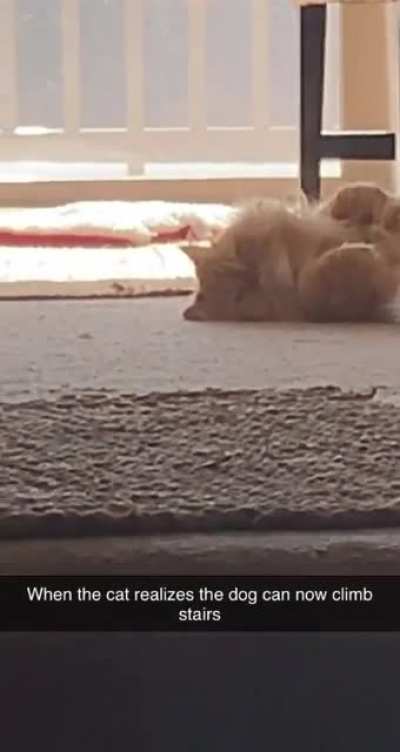 Getting acquainted