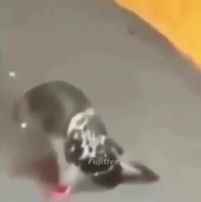 Pure Depression