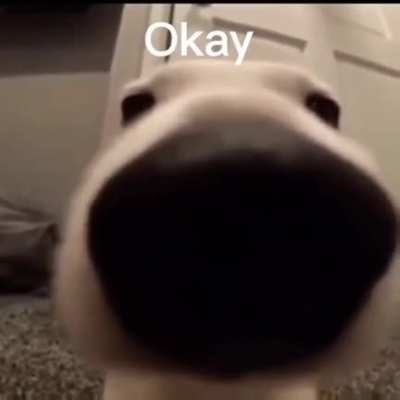 Me when mercury flavored scratch n&rsquo; sniff