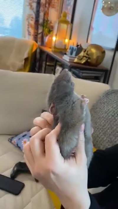 Just the right spot.