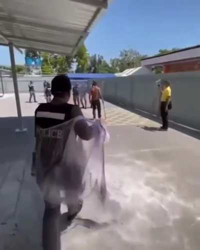 How to stop madman