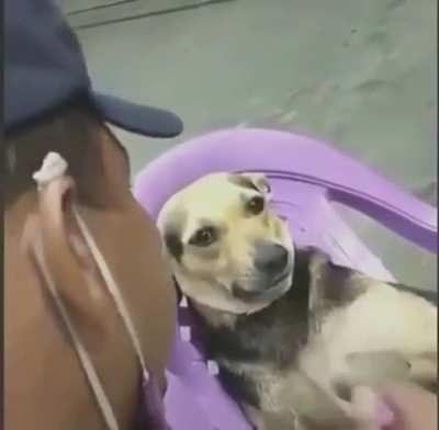 chat aconselhando o muca a voltar com a japonesa