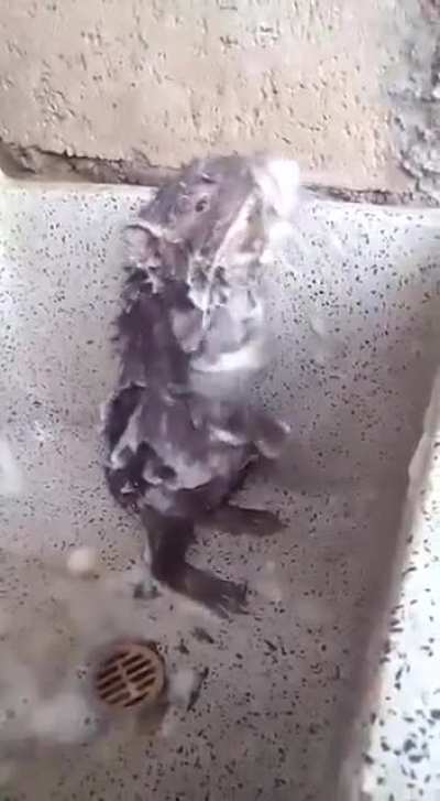 Just taking a little shower here