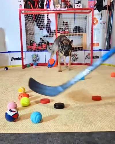 Wait for it..