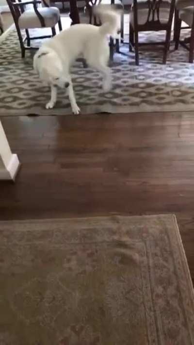 The disappearing Frisbee
