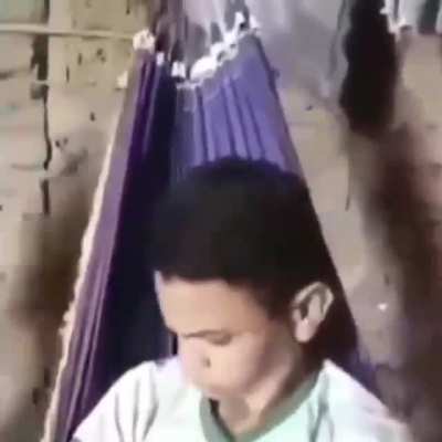 MAAU - Video #1316