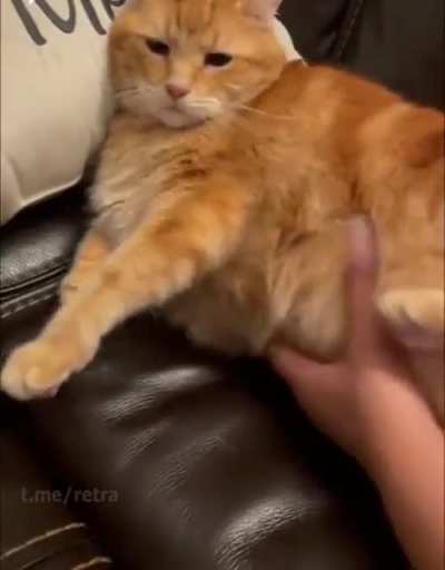 🙀SHOCKING!!⚡️ INNOCENT😇 💦CUUMI🐈 DRAGGED🤏 TO 🔥HELL😈 BY 🍆DICKCRANK🤖!!!
