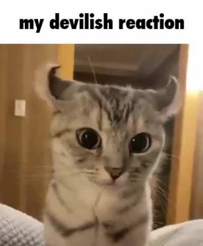 been feeling evil and malicious lately &amp;gt;:)
