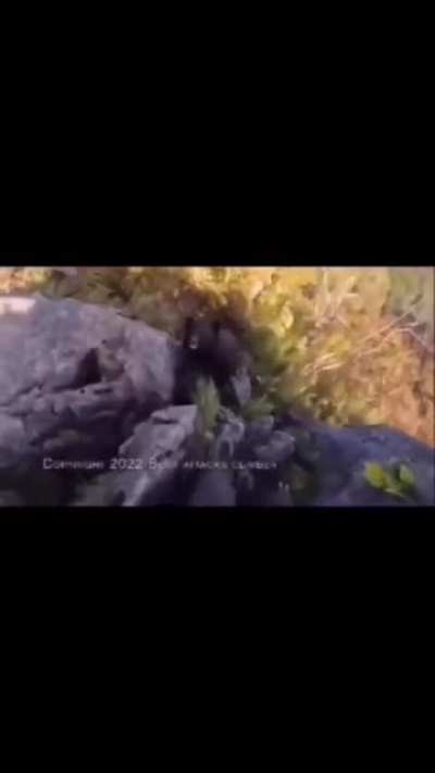 man fights off a bear in the wilderness
