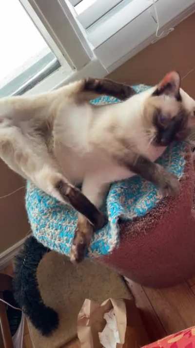George vs her legs when on the nip