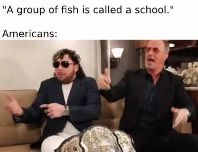 school meme